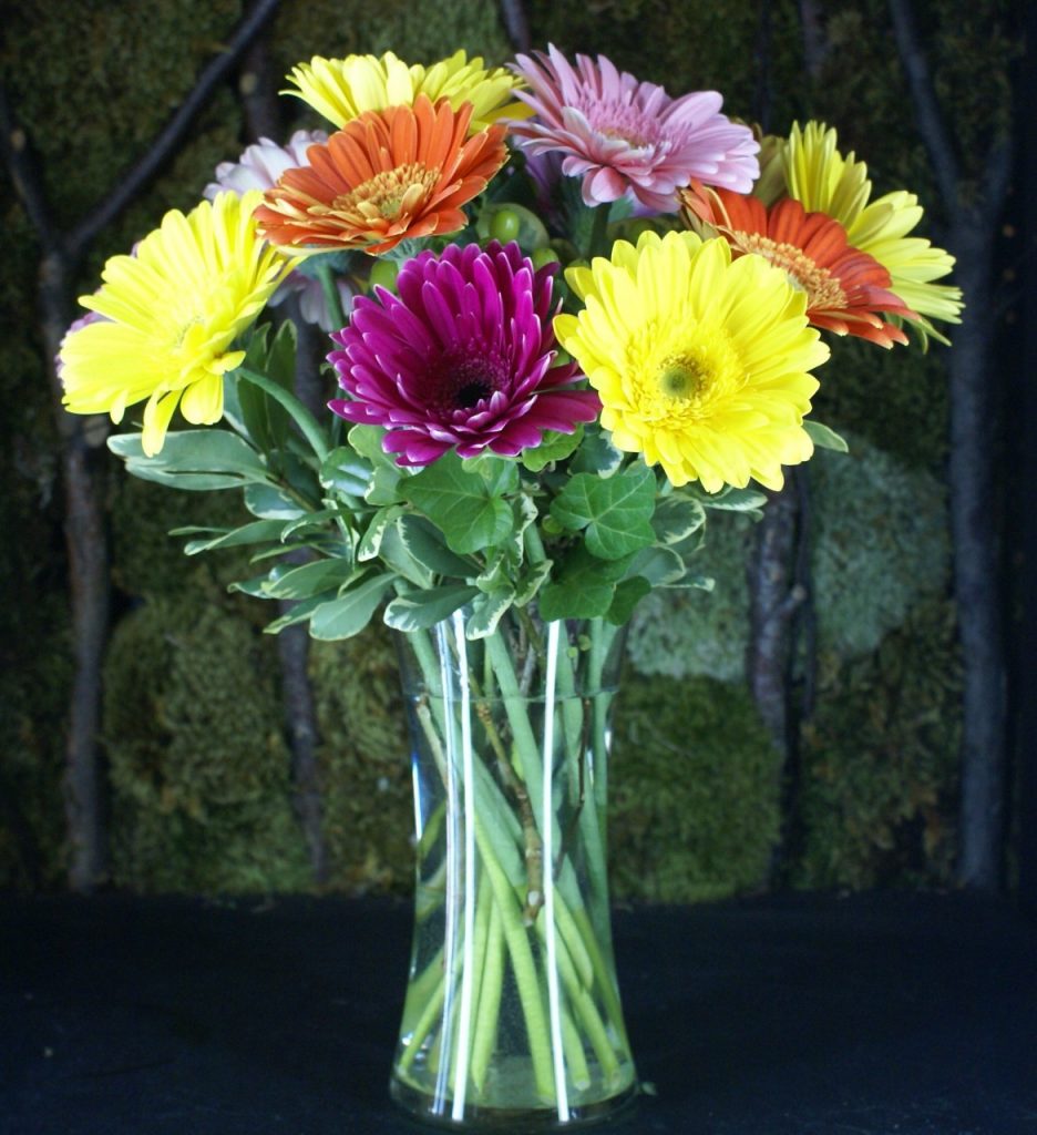 Gerbera Daisy Arrangement | Flower Mart