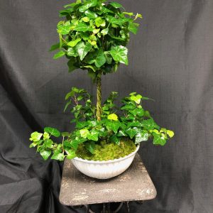 Ivy Topiary 1 ball